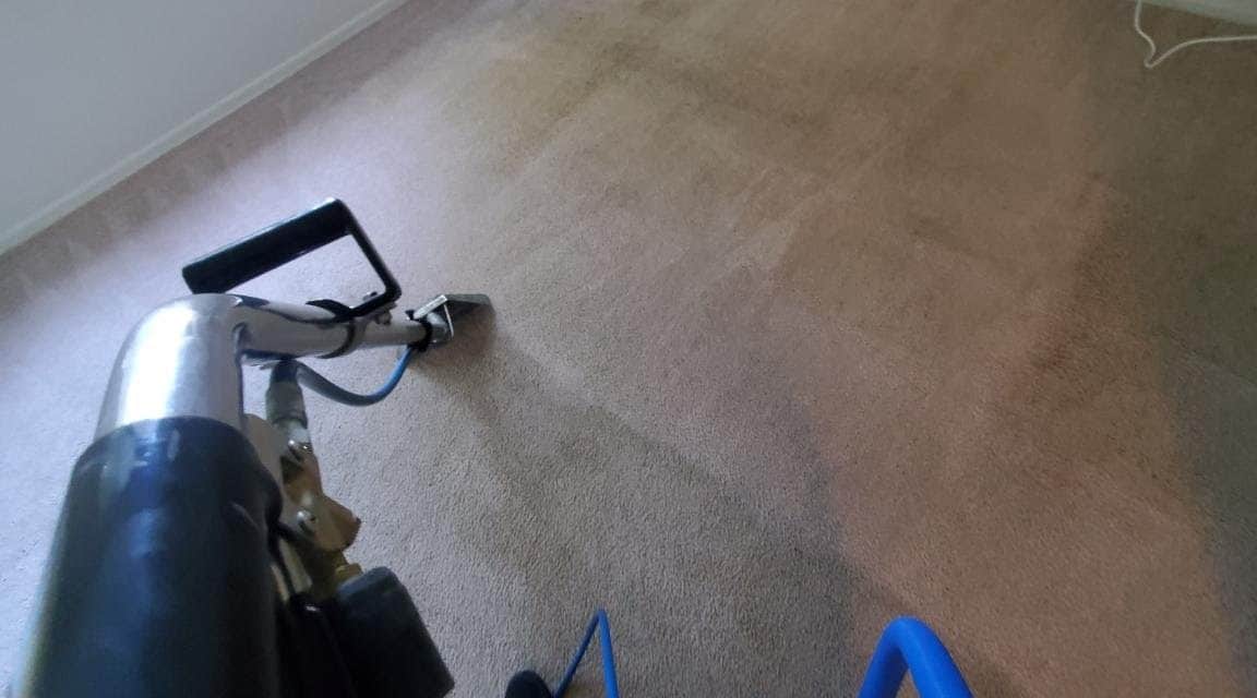 Why You Need To Clean Your Carpets
